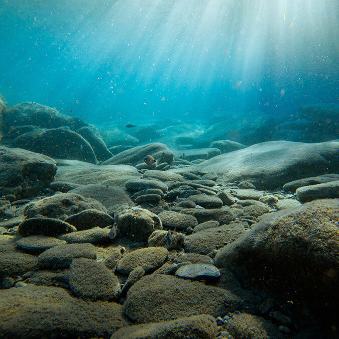 seafloor-rocks-and-sediment