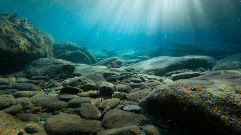 seafloor-rocks-and-sediment